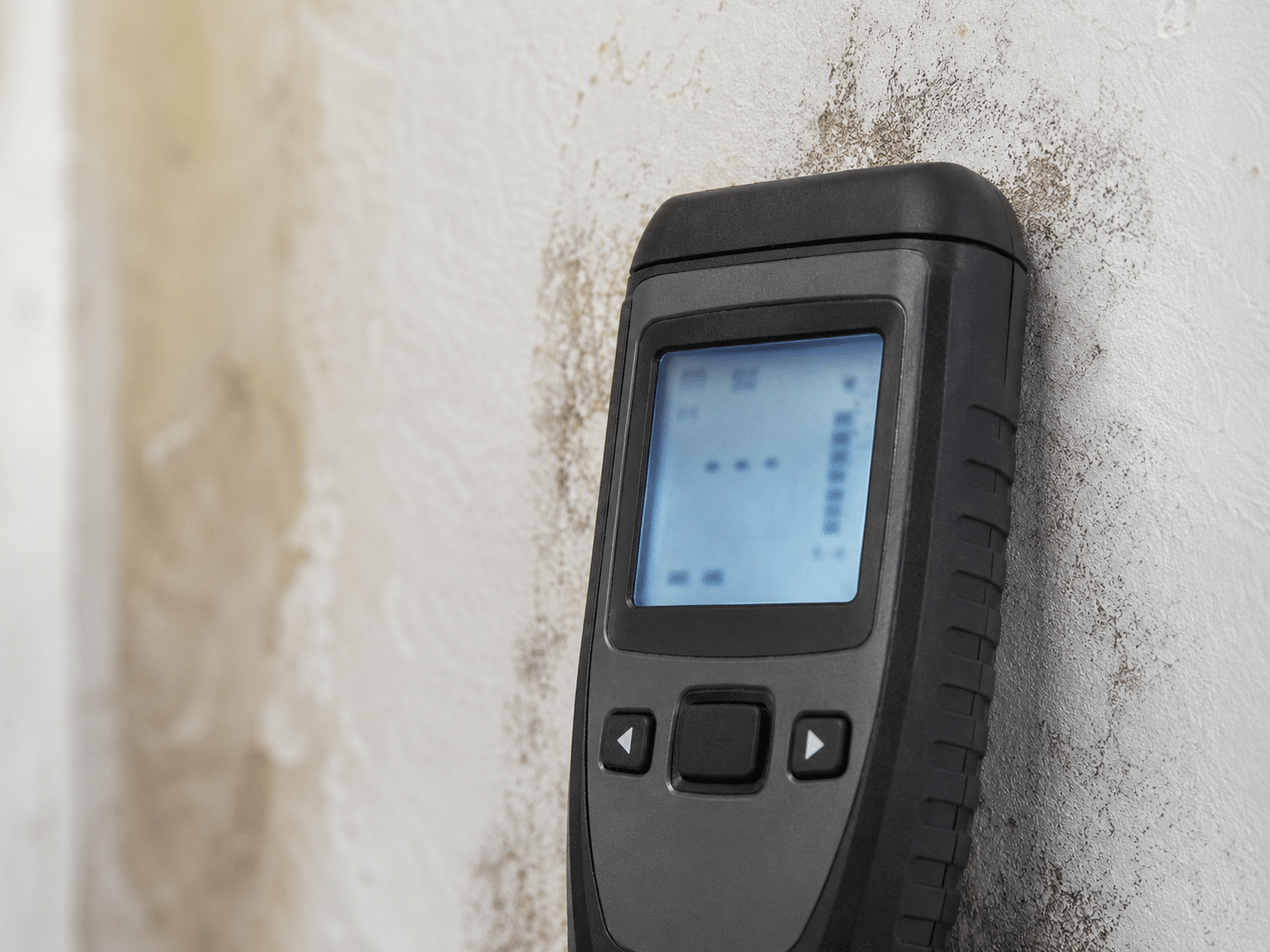 Mesure du taux d'humidité d'un mur à l'humidimètre