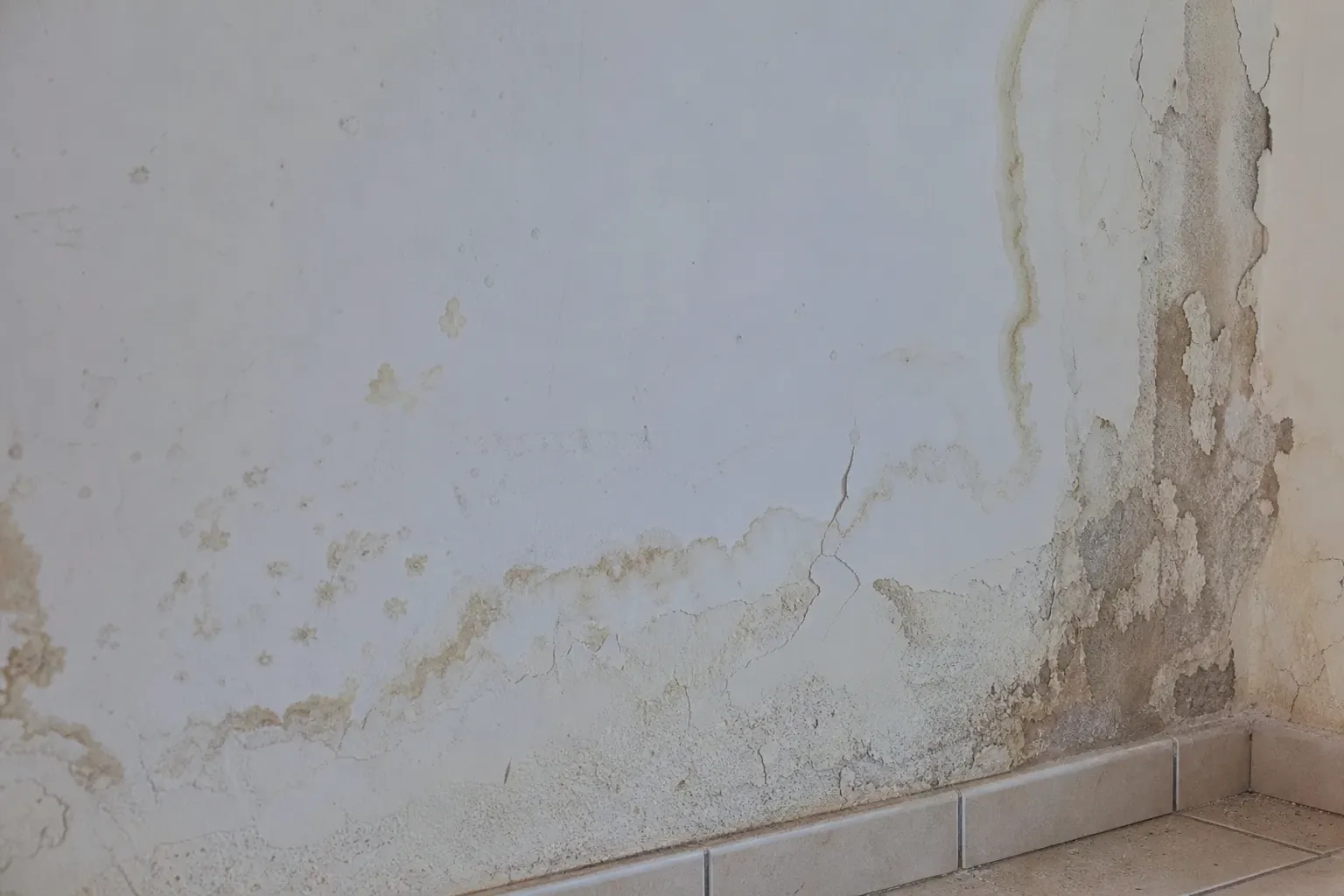 Trace d'humidite sur un mur interieur examinee pour distinguer vice cache et defaut d'entretien