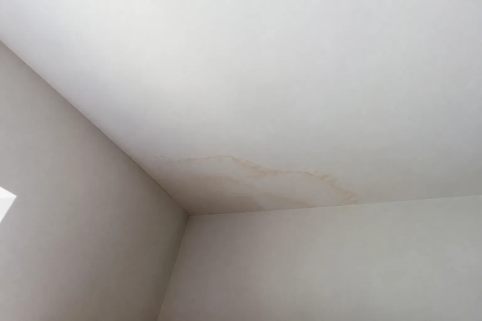 Auréole d'humidité brunâtre au plafond d'une pièce sous combles au dernier étage d'une maison