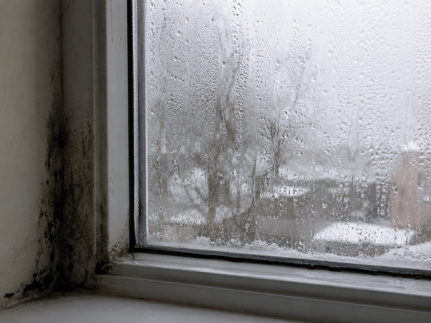 Condensation et moisissures dans l'angle d'une fenêtre