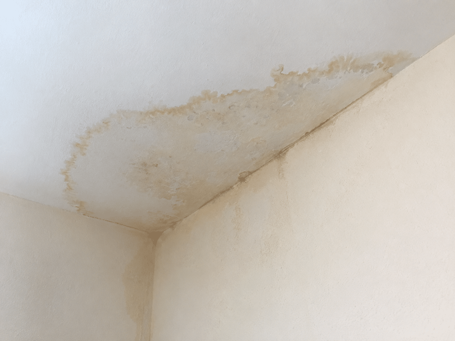 Auréole de dégât des eaux au plafond provenant du logement voisin