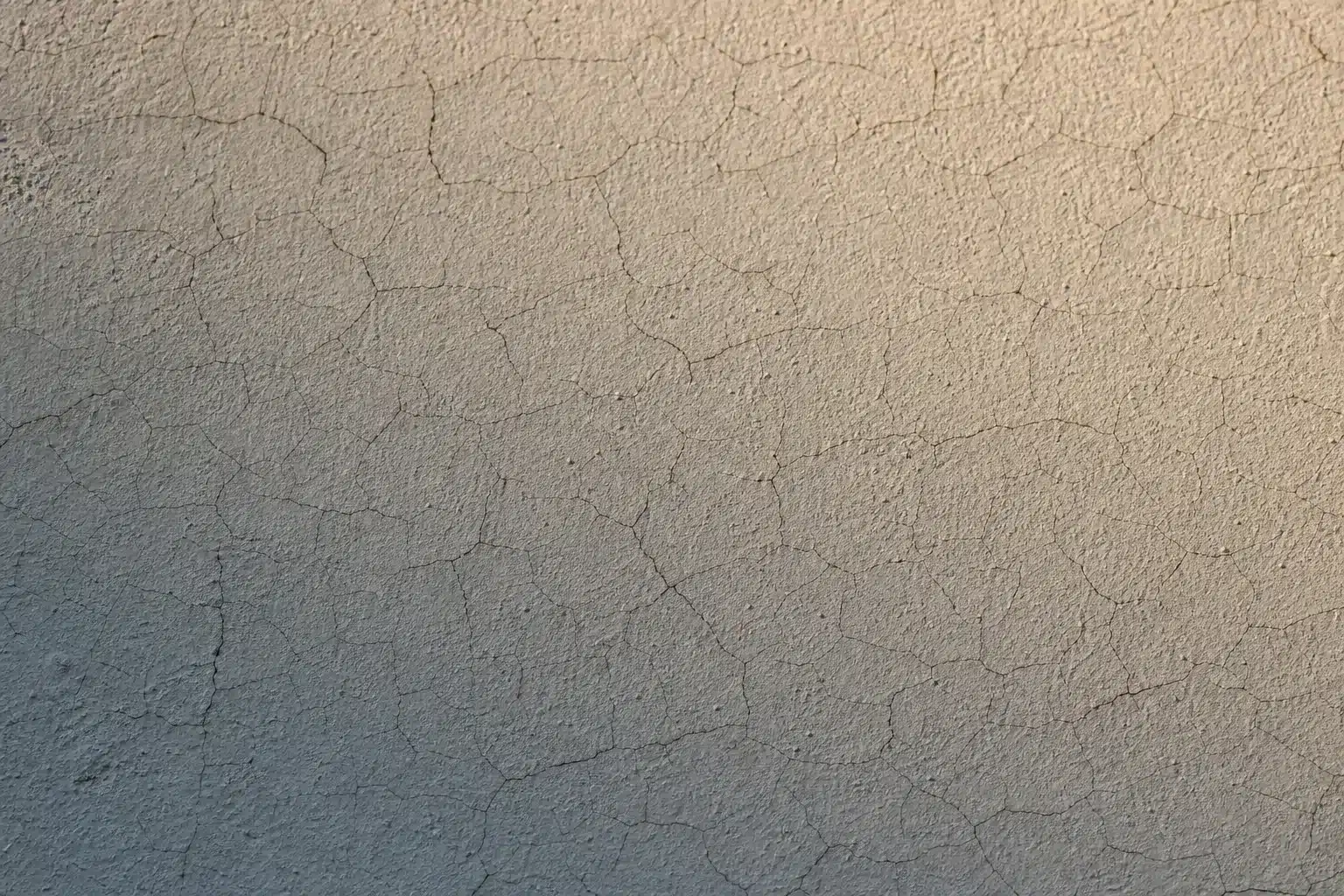 Microfissures faïençage formant un maillage sur un enduit de mur