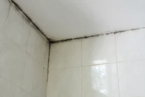 Moisissures noires dans les joints de carrelage d'une salle de bain près du plafond