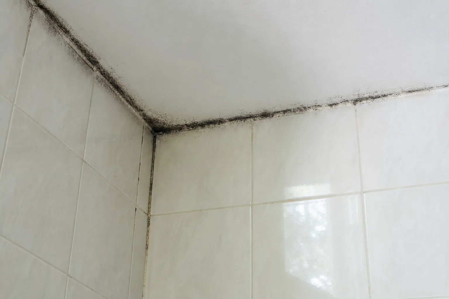 Moisissures noires dans les joints de carrelage d'une salle de bain près du plafond