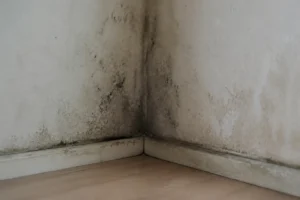 Moisissures humidité dans l'angle d'un mur intérieur dû à la condensation