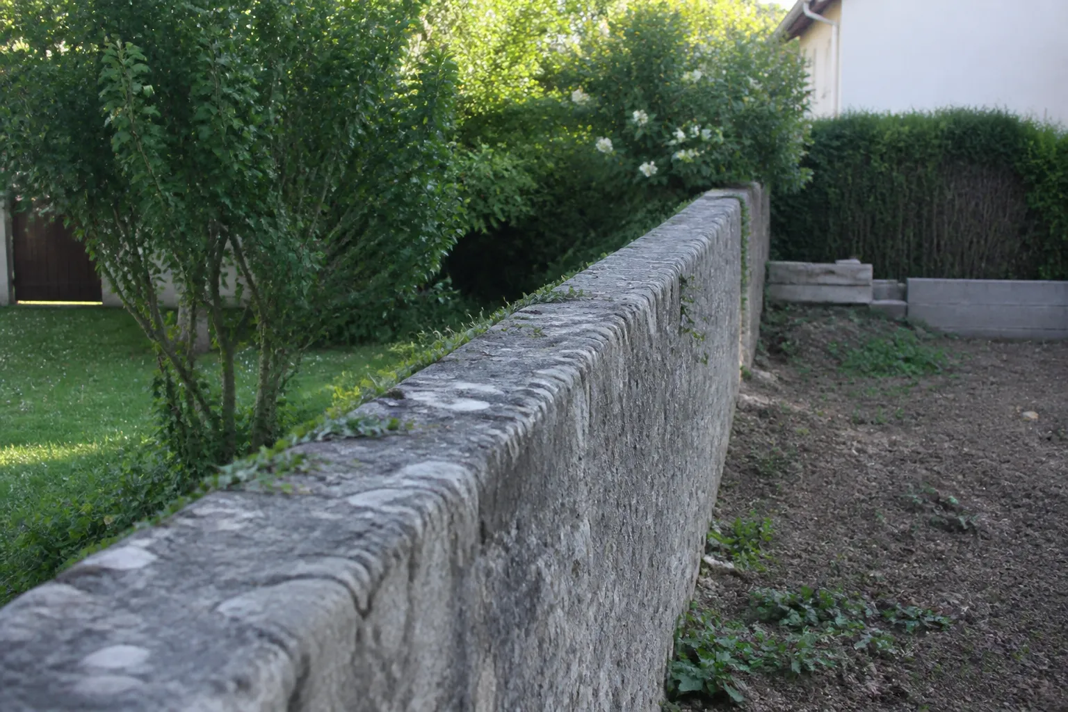 Mur mitoyen litiges — Mur mitoyen séparant deux propriétés voisines