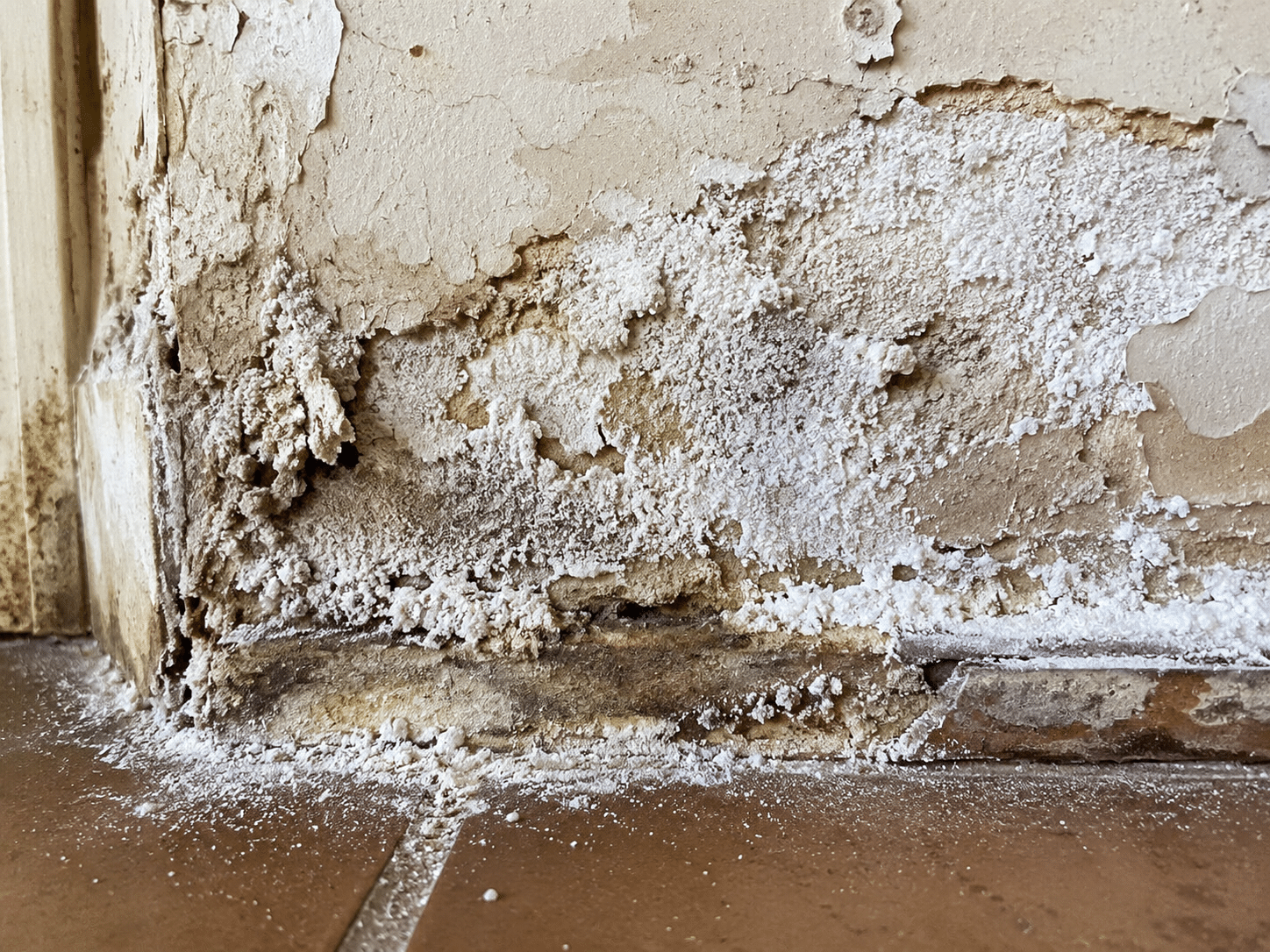 Dépôt de salpêtre cristallisé sur le bas d'un mur humide