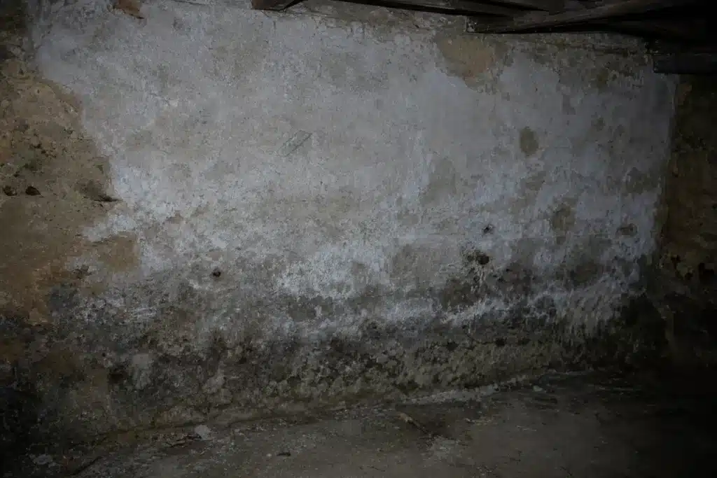 salpetre et humidite sur un mur enterre de sous-sol
