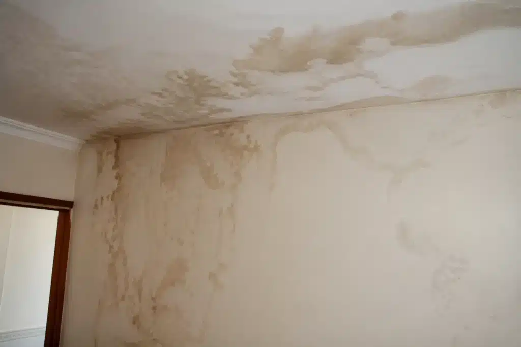 traces dinfiltration et dhumidite sur un plafond