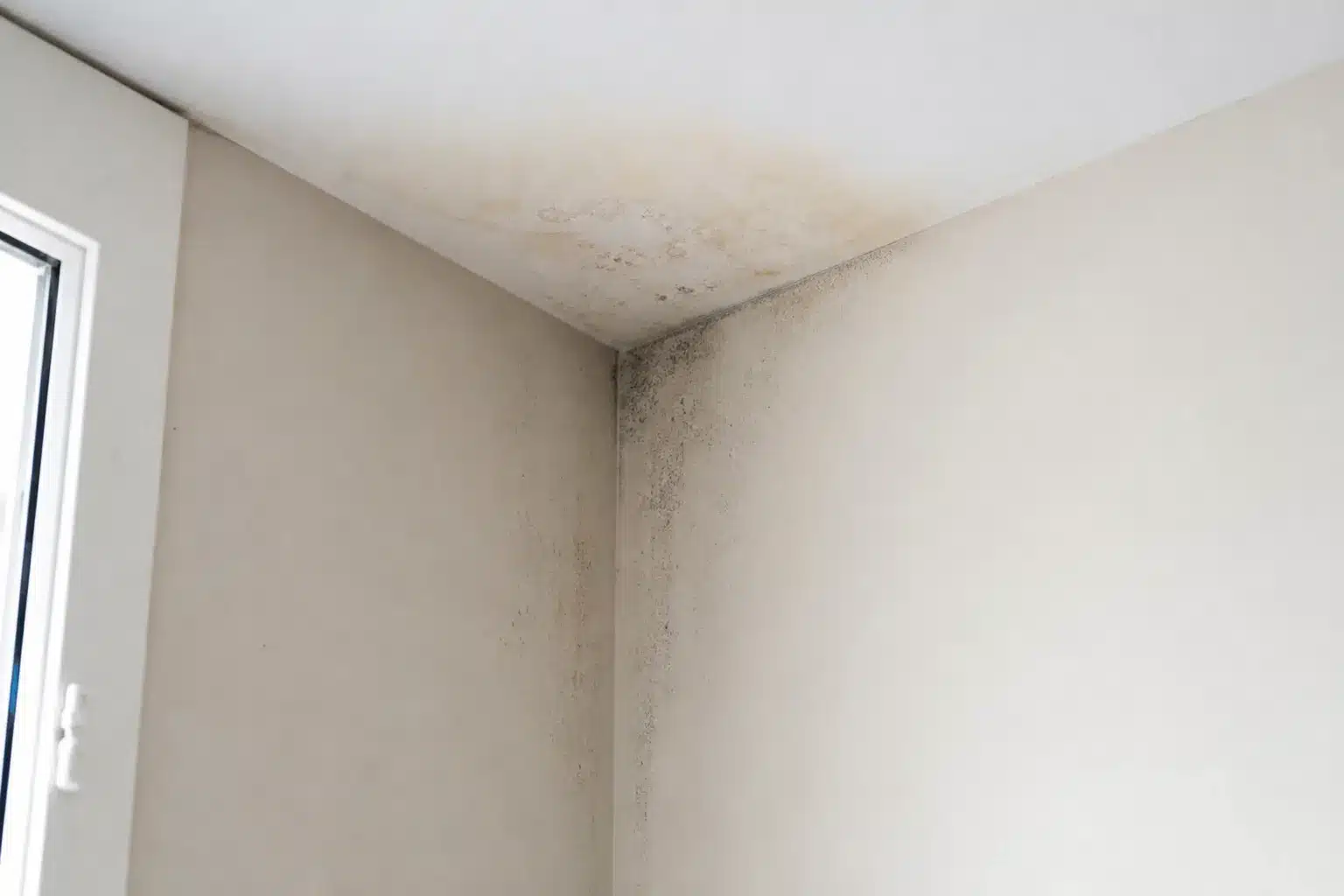 Trace d'humidité et moisissures dans l'angle d'un mur d'un logement neuf, infiltration après livraison en VEFA