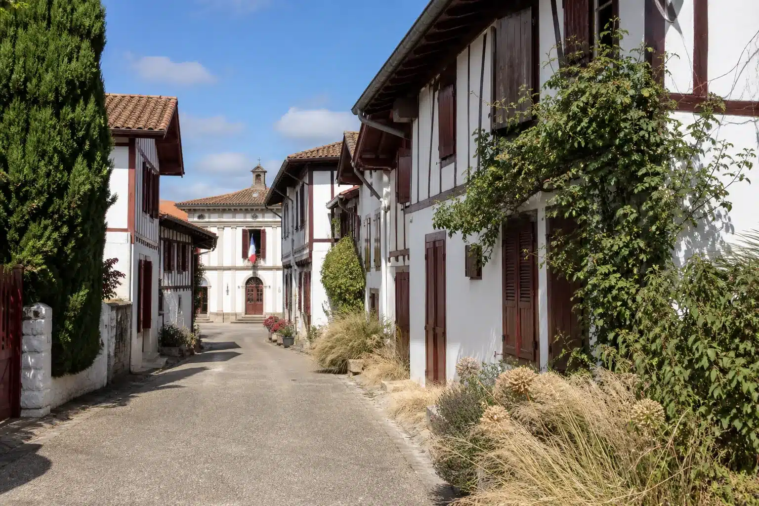 Rue de village dans les Landes après une sécheresse, mairie au fond