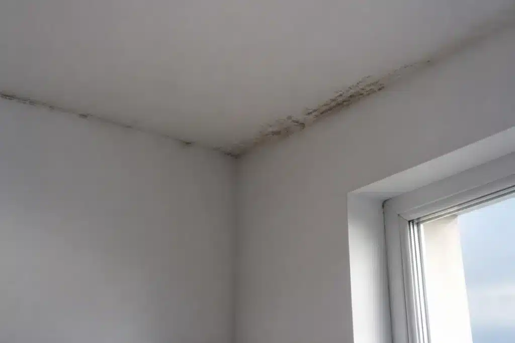 Moisissures noires en bande dans l'angle entre plafond et mur de façade d'une chambre, signe possible d'un pont thermique