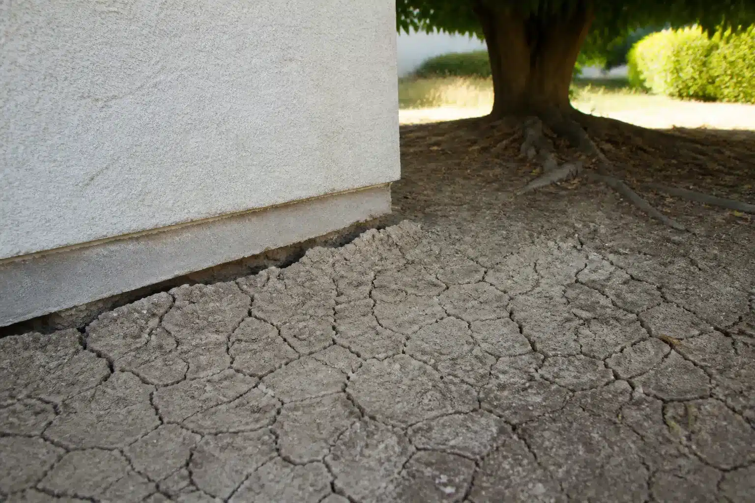 Sol argileux craquelé au pied d'un mur de maison avec un arbre proche des fondations