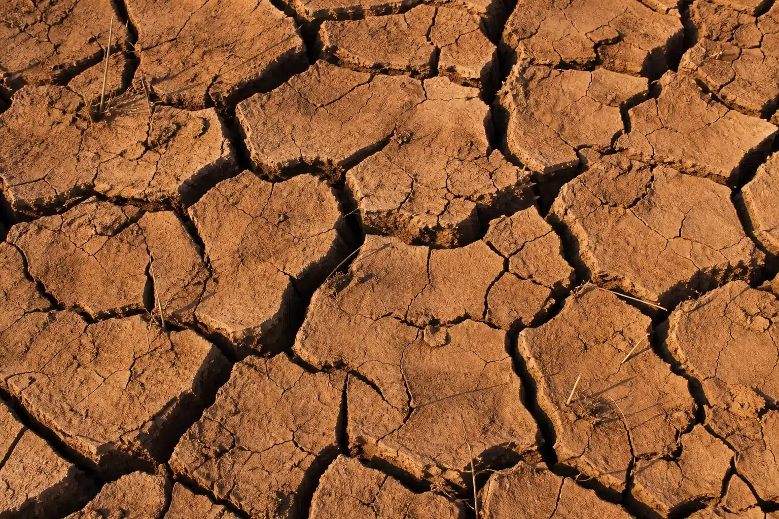 Sol argileux desséché par la sécheresse, craquelé en polygones de dessiccation